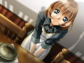 女系家族淫谋,一场跨越世纪的淫谋风云