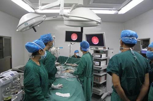 手术直播间,直击医疗现场，感受现代医学魅力