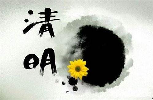 岁岁清明,传统节日的文化传承与情感共鸣